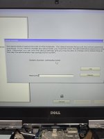 17350389902677829660085358210947.jpg